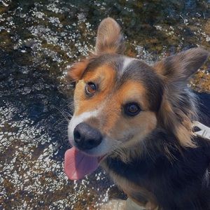 Meet your Posher, Elise